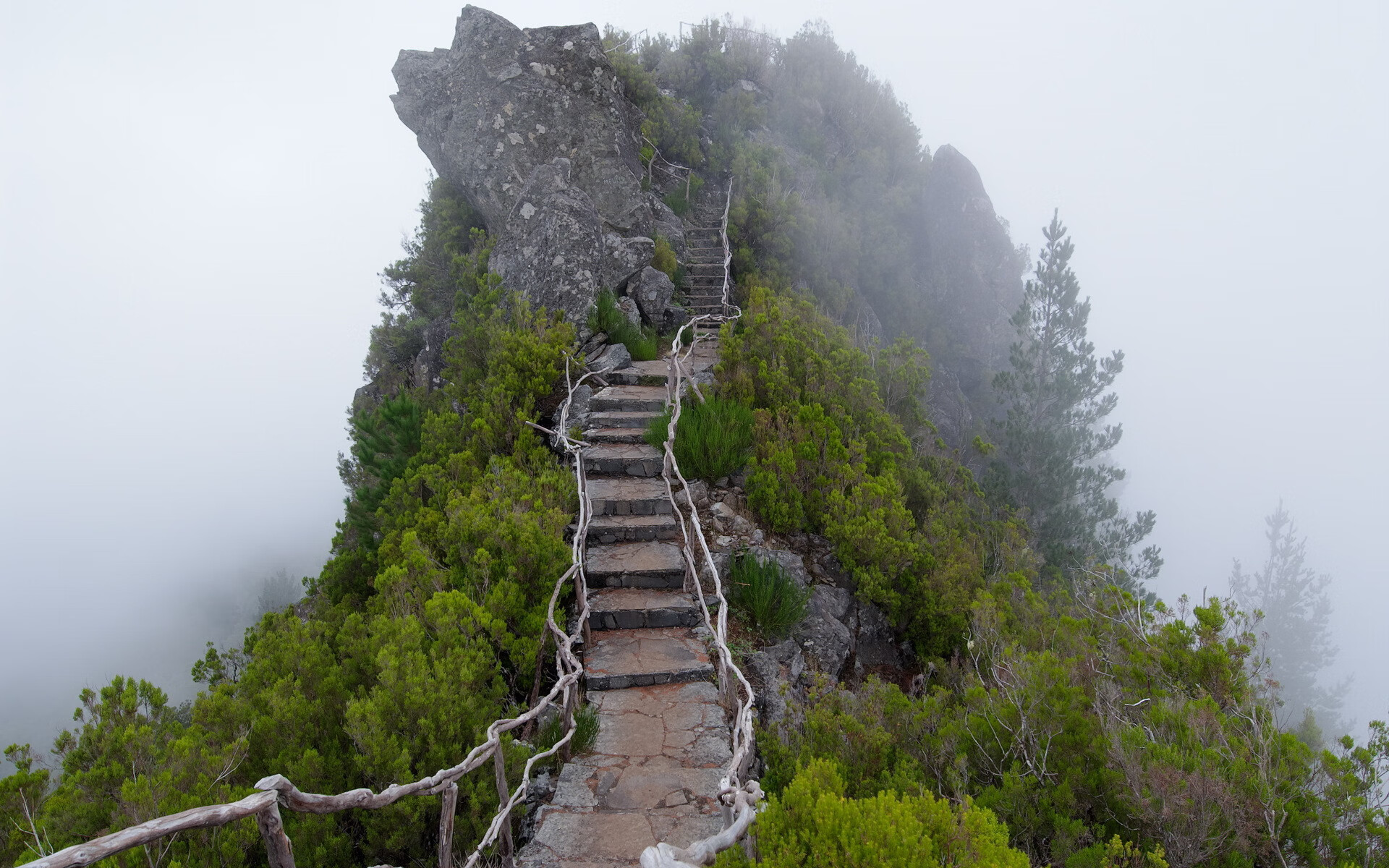 世界登山青年导师生态修复项目第43批结项名单公布，登山专家